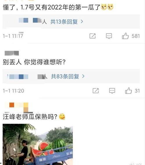 评论娱乐吃瓜怎么说,揭秘明星幕后故事